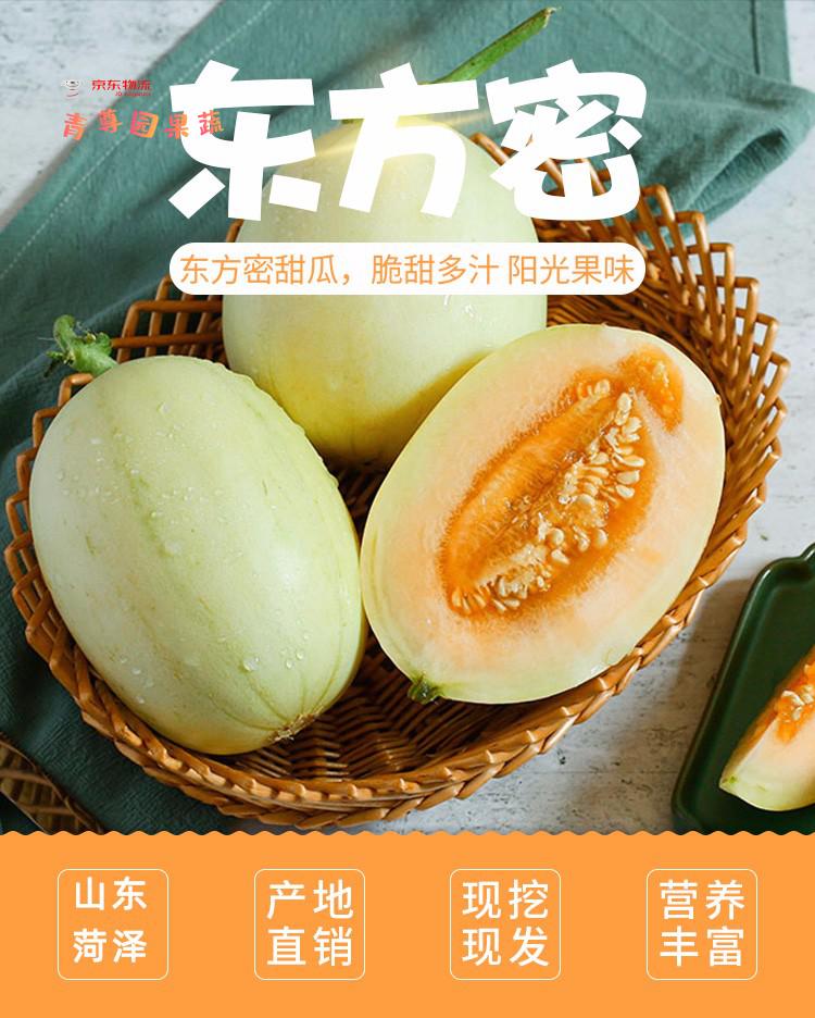 东方蜜瓜 山东单县香瓜水果甜瓜新鲜小白瓜东方蜜白皮红心黄肉超脆 15