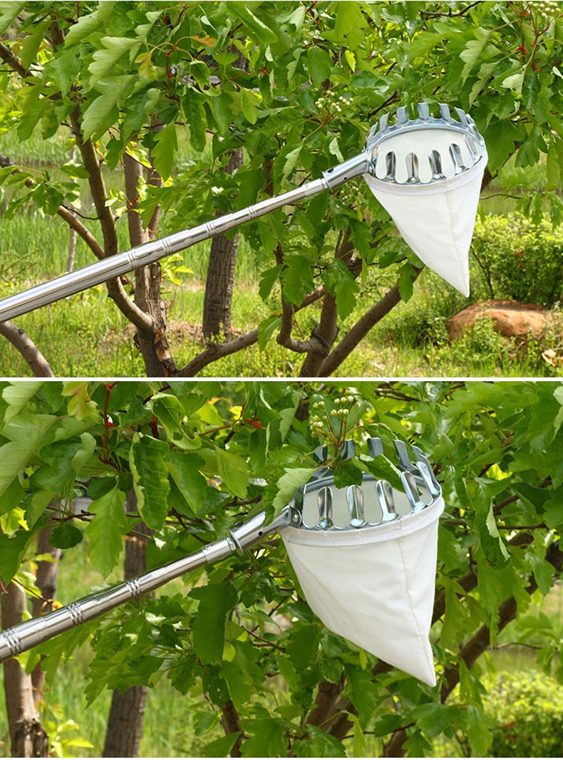 采物摘果器多功能不锈钢伸缩杆摘果神器农用园林工具高空水果采摘器摘