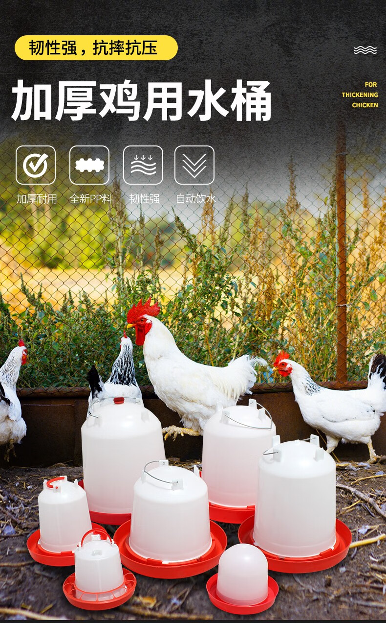 小鸡鸭鹅雏鸡饮水桶 鸡用水槽 饮水壶 养鸡设备 白帽鸡饮水桶【图片