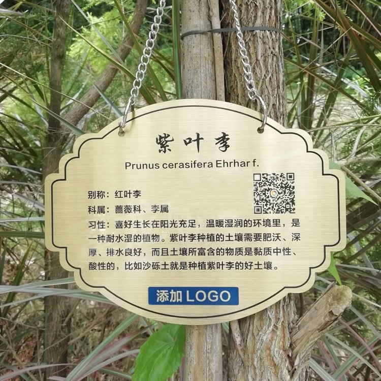 花草牌不锈钢树牌植物绿化标识木纹悬挂广告树木介绍金属挂牌定制