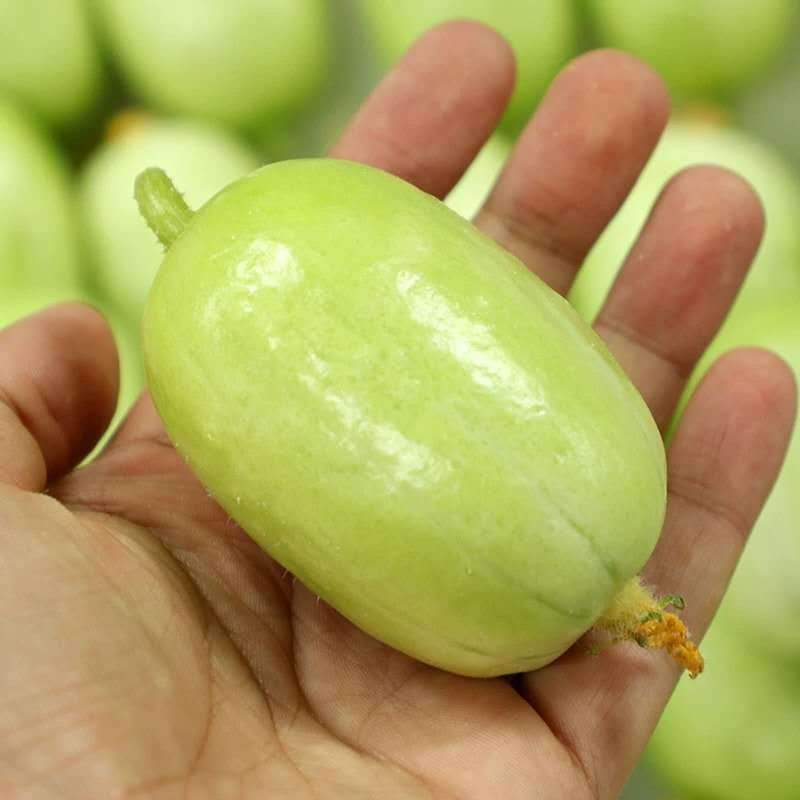 山东拇指小黄瓜新鲜金童玉女黄瓜旱白玉青瓜果腹轻食1斤