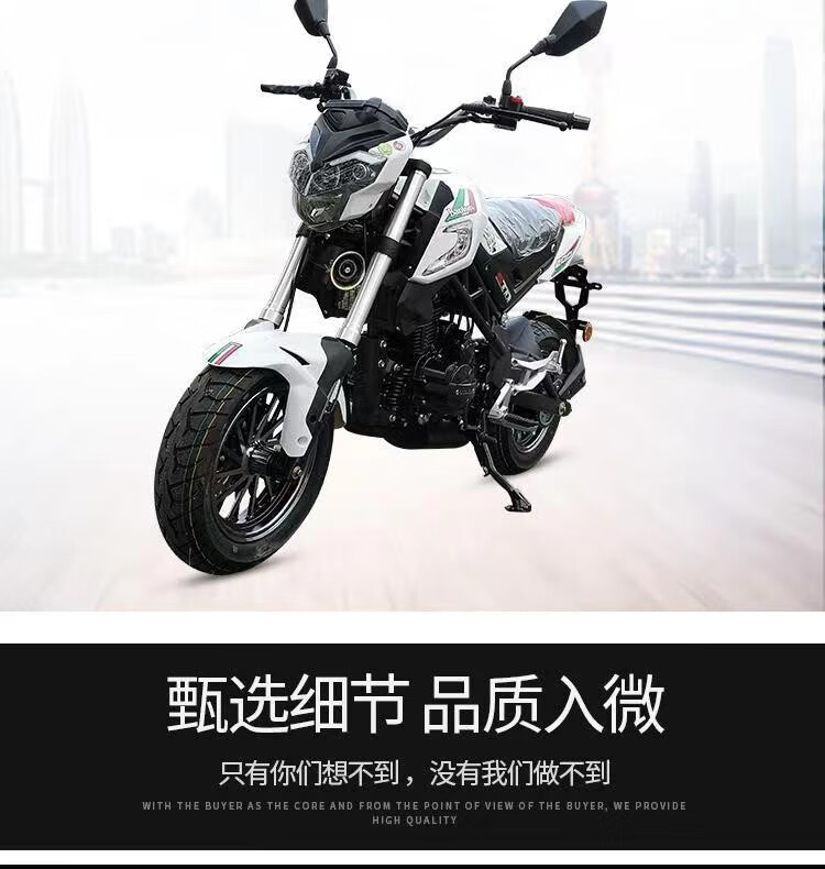 国四新款电喷宝雕小暴龙200cc小怪兽小猴子m3大公仔迷你特技街车代步