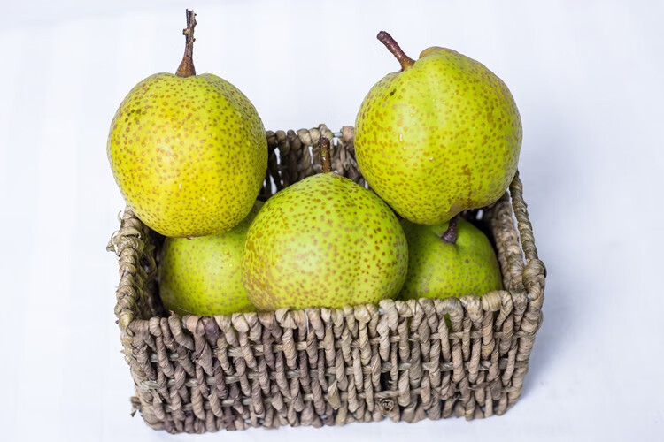 山东莱阳贡梨山东特产慈梨新鲜莱阳茌梨子膏10斤正宗