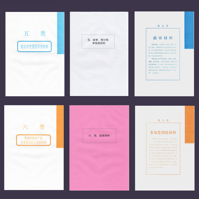 干部人事档案盒 彩色分类纸白色双胶纸 十大分类纸隔页纸 彩色多色