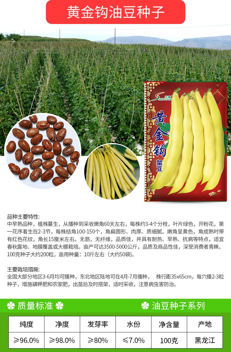 凤鸣雅世东北黄金钩红金钩豆角种子高产春秋耐寒芸豆蔬菜种籽高产四季