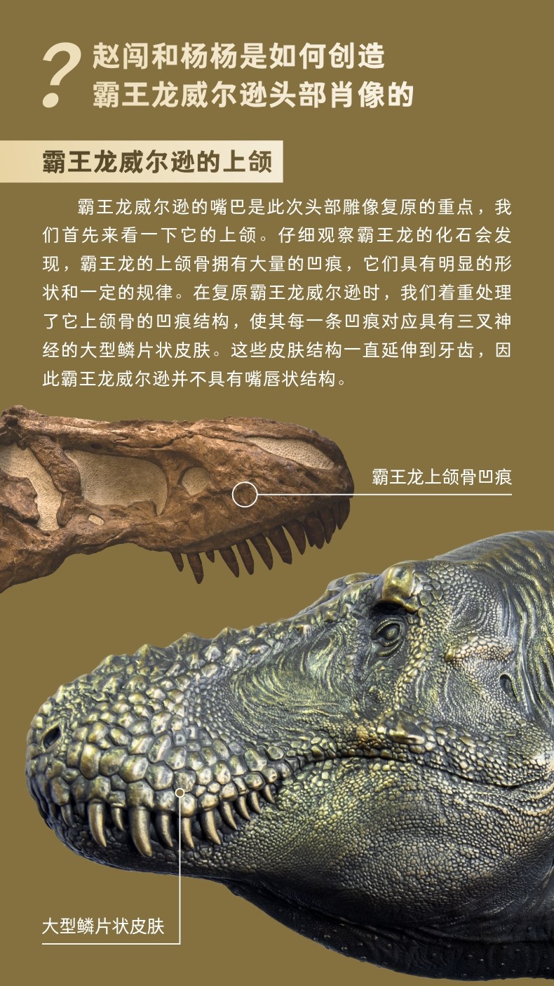 pnso赵闯和杨杨科学艺术雕像书房系列霸王龙威尔逊1:15头部肖像