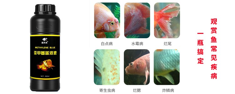 petdaddy鱼药水族专用血鹦鹉锦鲤鱼病药白点净烂身烂肉鱼缸杀菌药亚
