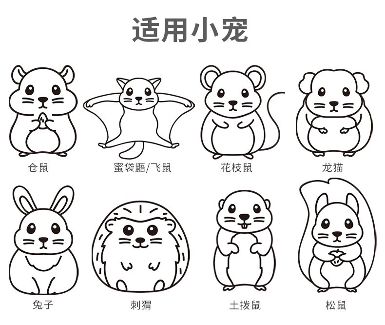 小囧家 蜜袋鼯磨牙玩具松鼠龙猫仓鼠造景花枝鼠荷兰猪磨牙棒提摩西胡