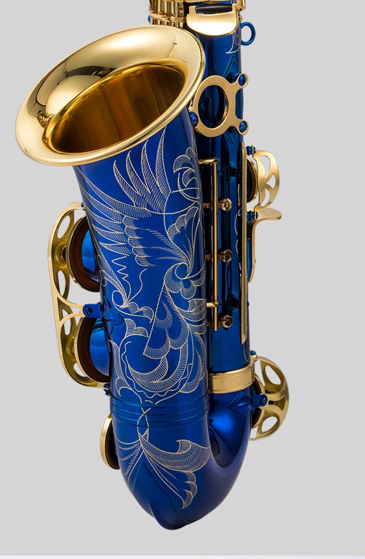 鹦鹉parrot中音萨克斯降e调高音降b调萨克斯风初学成人演奏考级 电泳