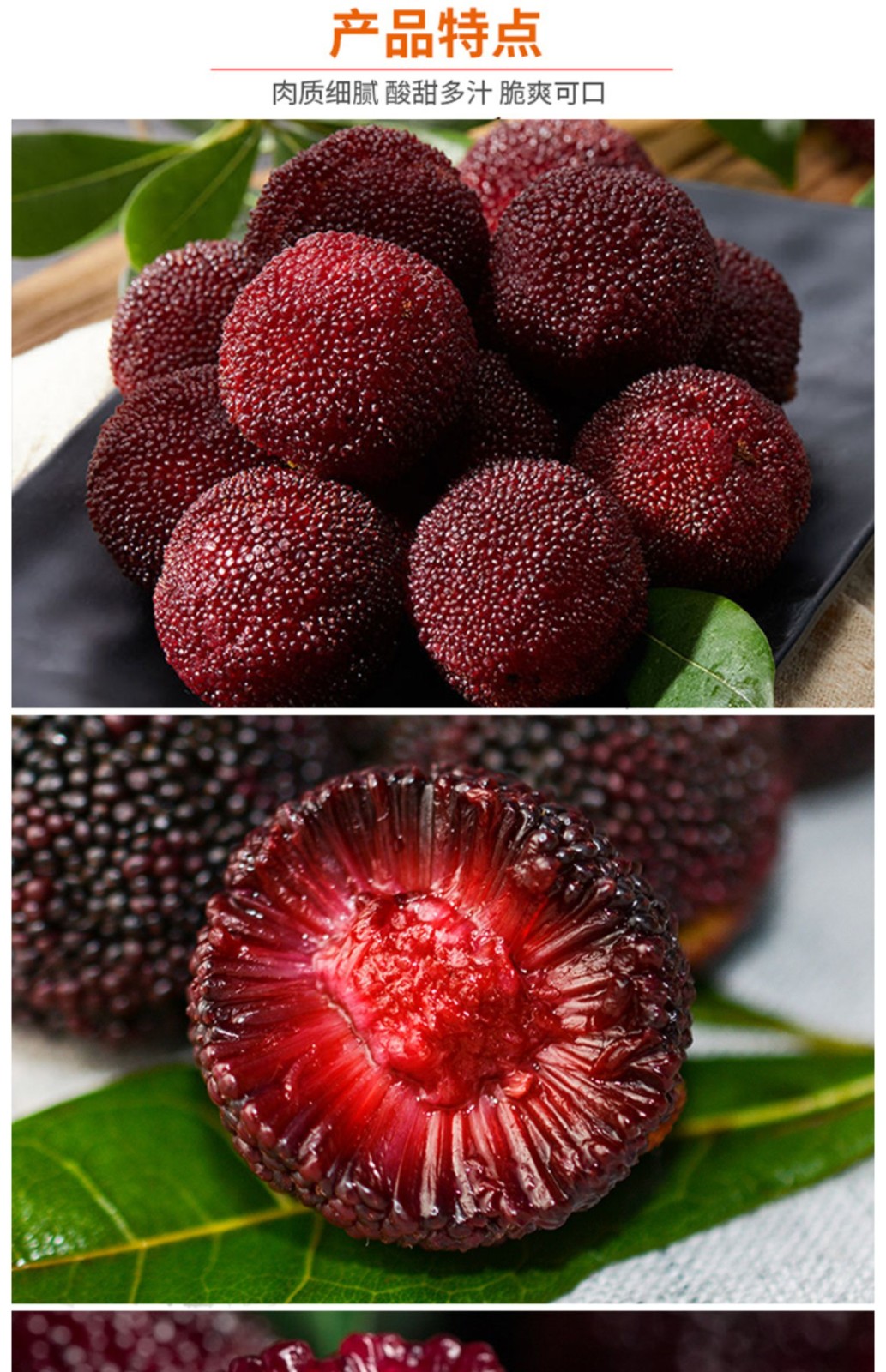 浙江仙居新鲜东魁杨梅水果当季时令孕妇水果酸甜可口2斤精选优果