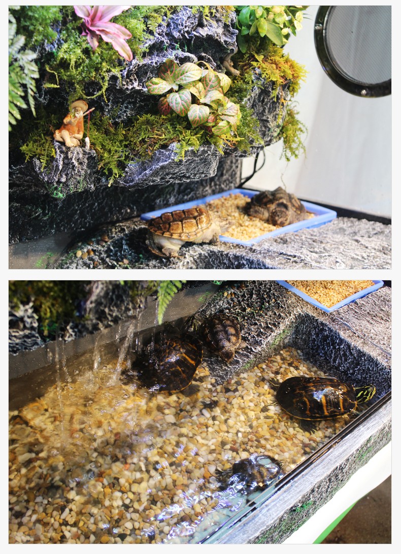 乌龟缸带晒台玻璃水龟缸雨林造景水陆缸鳄龟缸黄缘龟缸巴西龟缸 yp