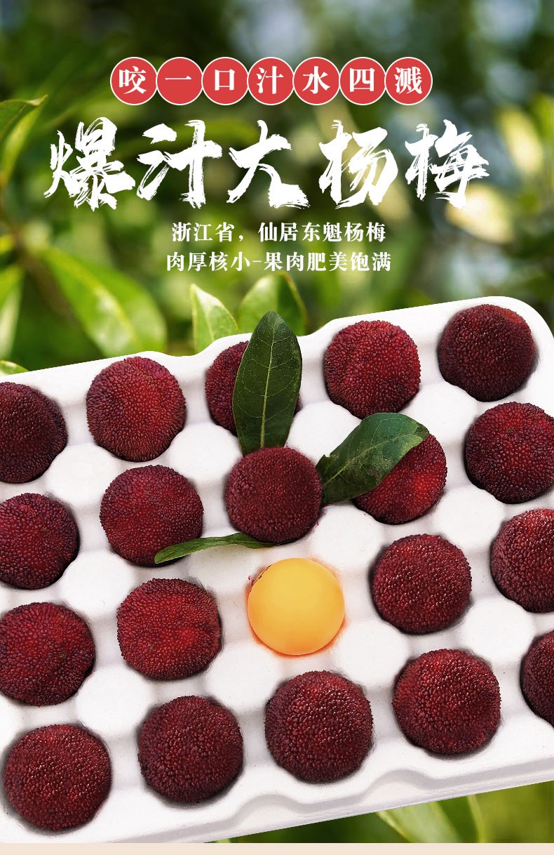 魁杨梅鲜果又大又甜浙江当季时令孕妇水果颗粒礼盒装整箱现摘现发杨梅