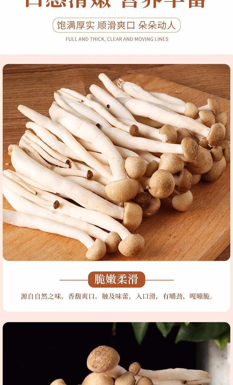 七河新鲜蟹味菇海鲜菇火锅配菜新鲜蘑菇食用菌煲汤食材蟹味菇白玉菇各