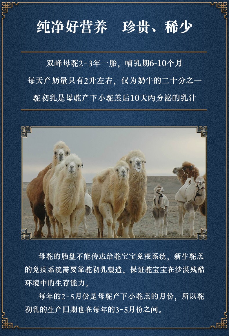 至品驼乳450克纯骆驼奶粉有机全脂纯驼奶粉学生成人中老年驼奶补充