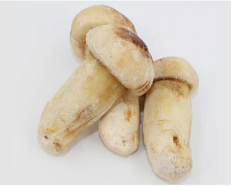 【顺丰快运】速冻新鲜冷冻松茸菌 东北松茸菌野生云南野生菌冰冻鲜