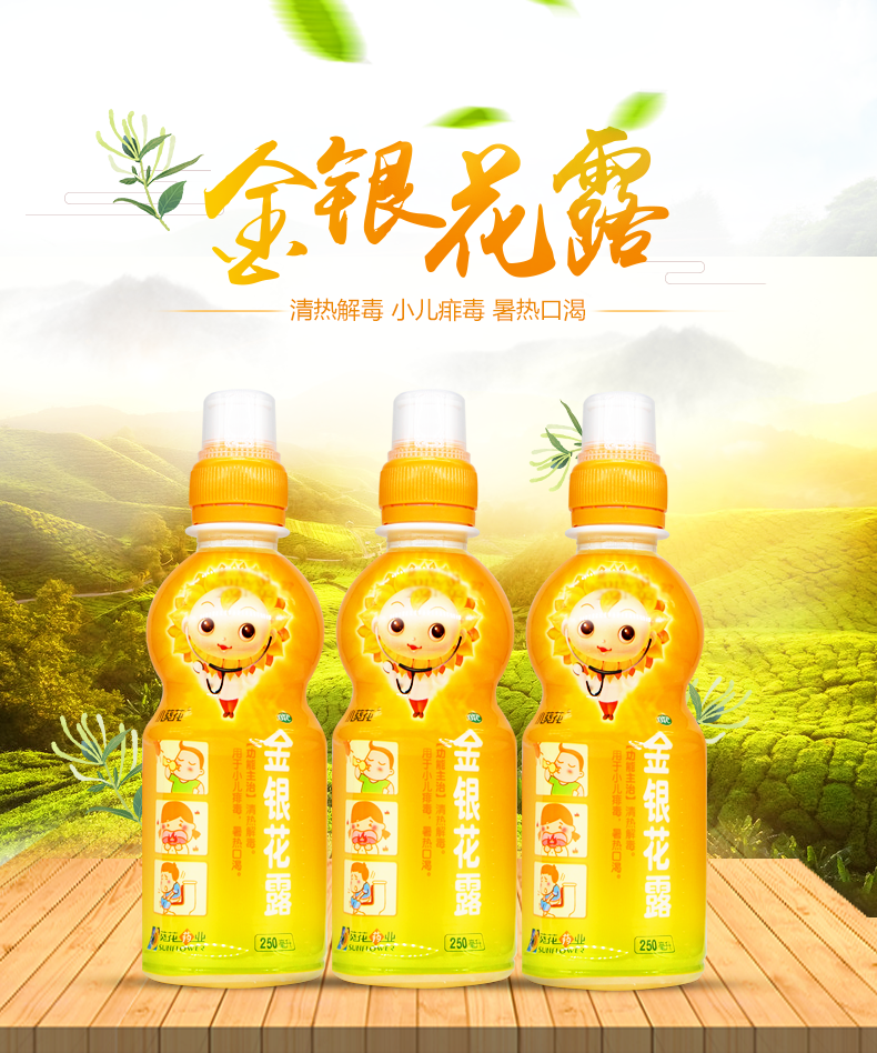 小葵花金银花露口服液水250ml儿童 【6瓶装】