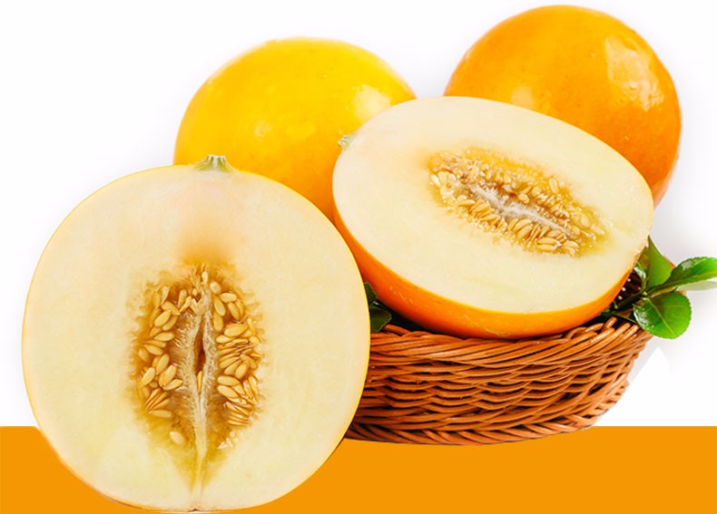 黄河蜜瓜黄金蜜瓜甜瓜整箱当季新鲜水果蜜瓜香瓜黄金黄皮网纹哈密团建