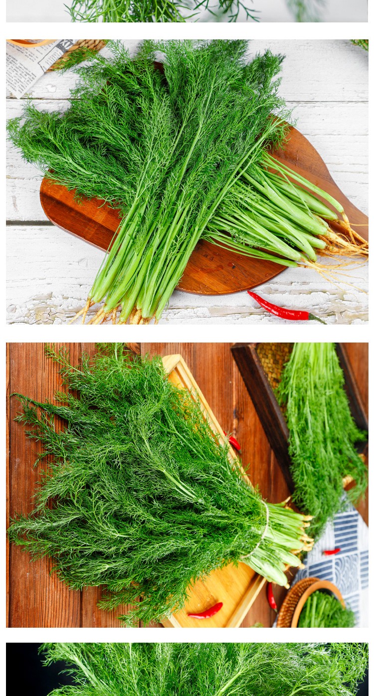 【顺丰】新鲜小茴香菜 茴香苗带根 包饺子馅料 500g