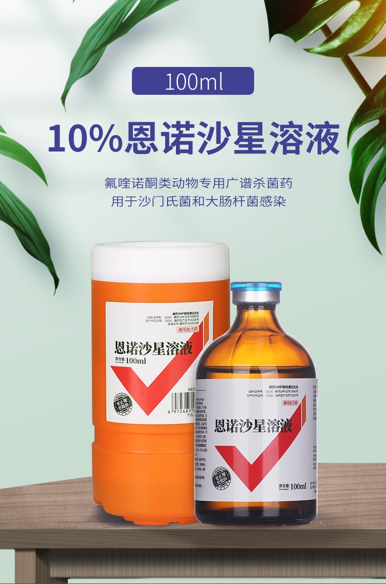 派克斯 兽用恩诺沙星注射液 兽用猪药犬猫兔牛药羊