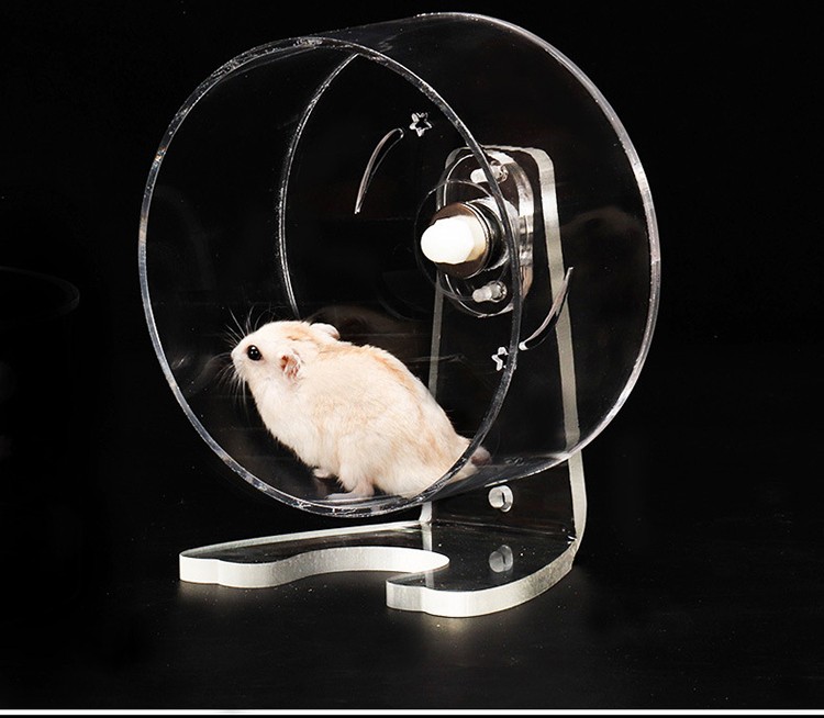 兰衍松鼠跑轮亚克力透明仓鼠跑轮跑步机转轮龙猫跑轮刺猬跑轮小宠带
