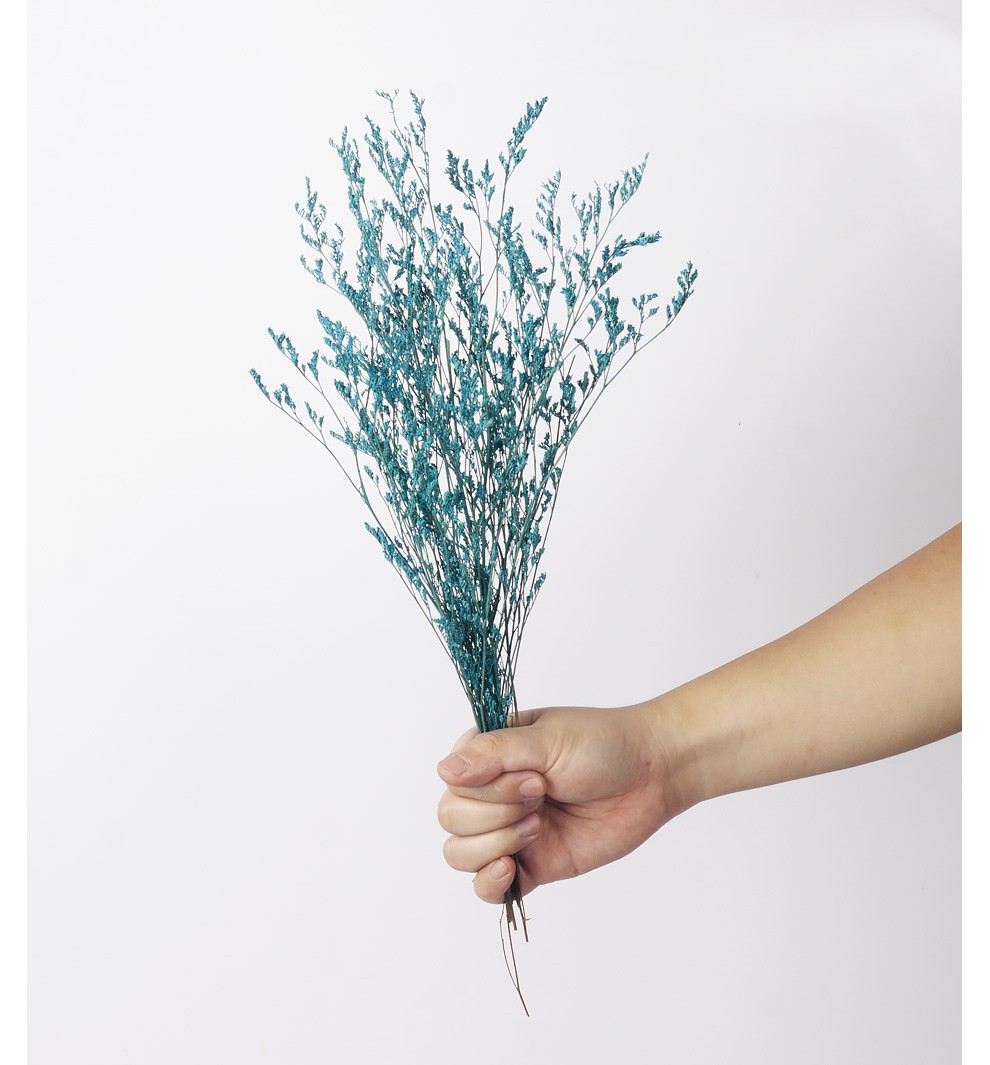 多色情人草干花植物云南干花真花永生花花束客厅花艺本色水晶草