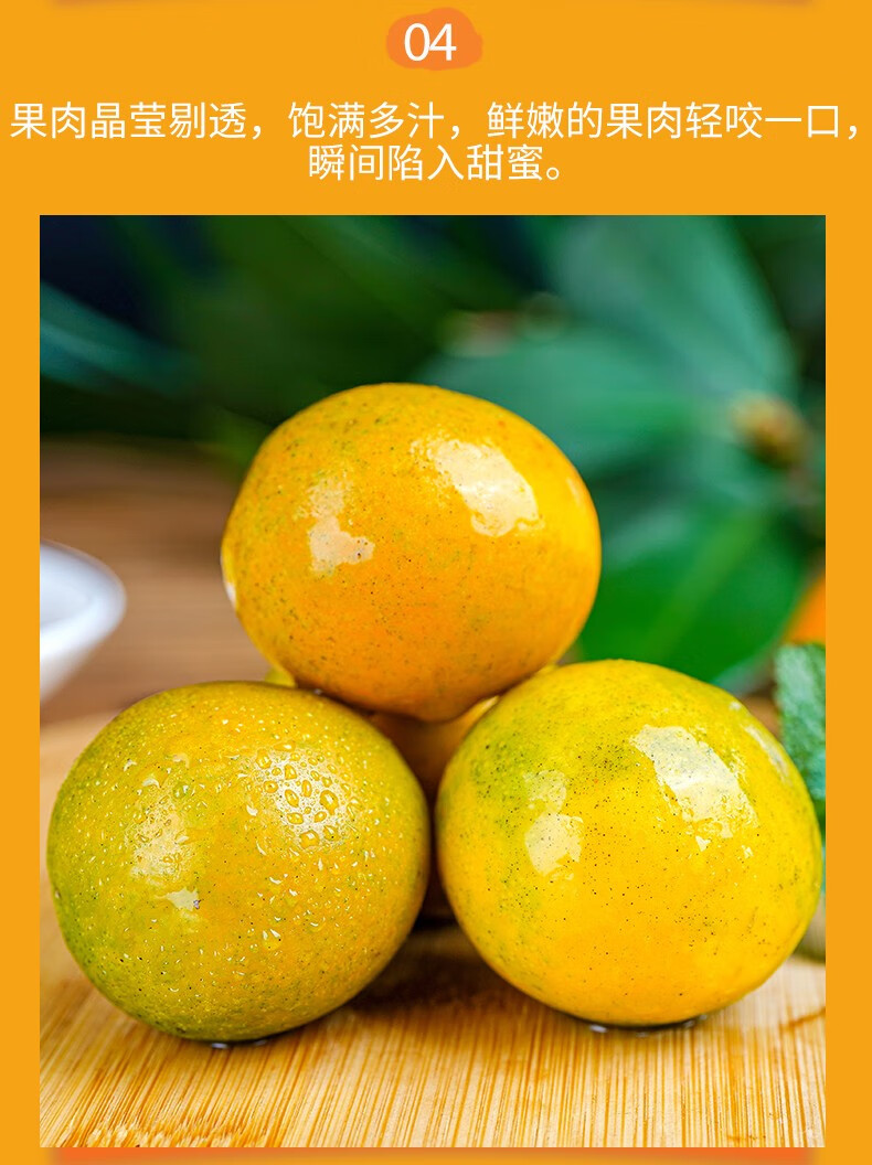 广西融安脆皮金桔 新鲜水果时令孕妇黄皮橘子脆甜小金桔 果农精选五斤