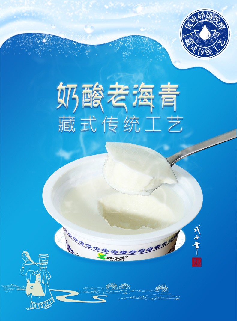 小西牛 青海老酸奶原味益生菌发酵乳低温酸奶高原酸奶150g*12*2提
