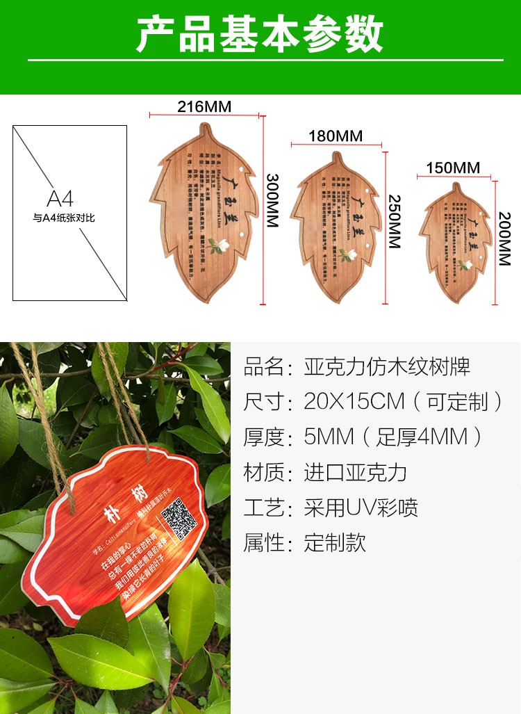亚克力花草悬挂树牌定制植物标识牌绿化树木介绍挂牌园林指示牌 30cmx