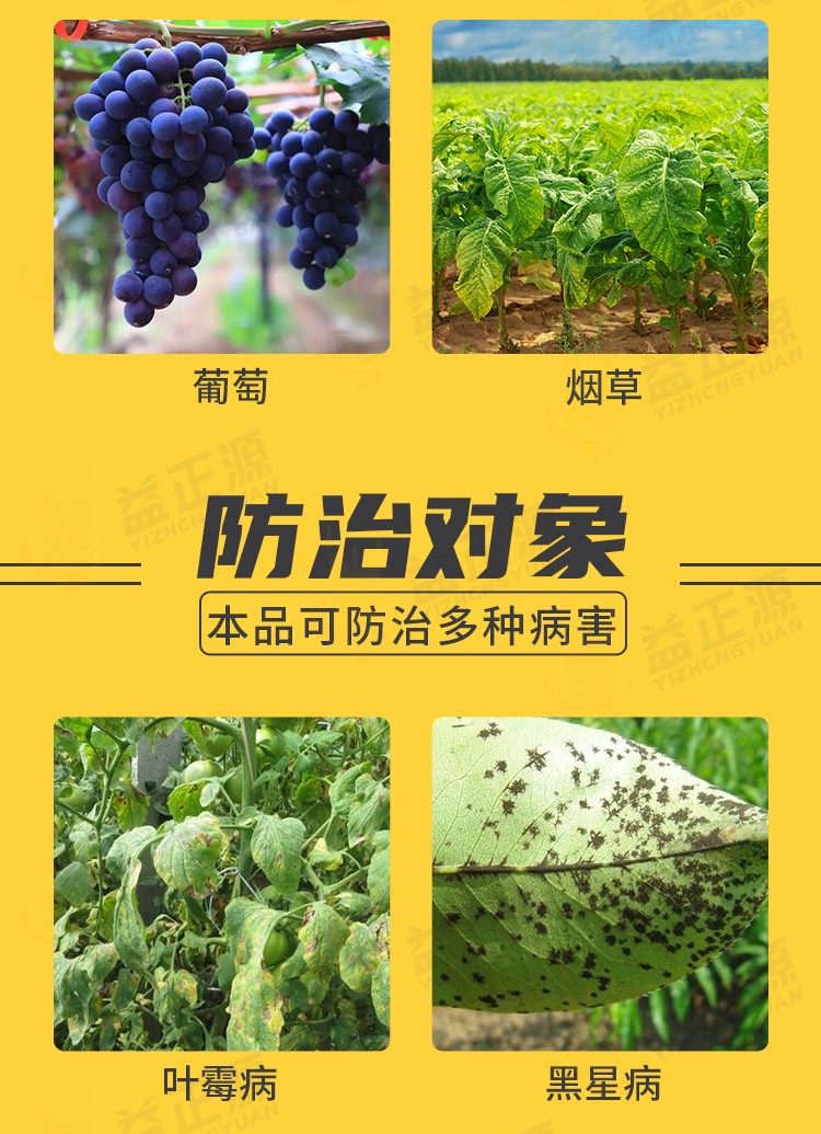 一帆世福抑霉唑锉咯菌腈晴月季西红柿草莓灰霉病专用药农药杀菌剂正器