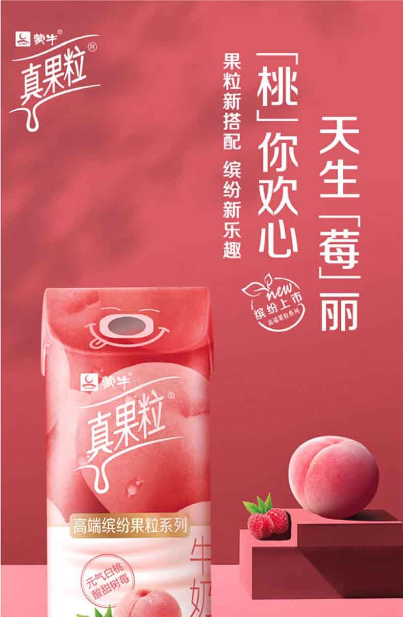 樱安娜 真果粒白桃树莓礼盒装春季限定牛奶饮品 白桃树莓口味240g*10