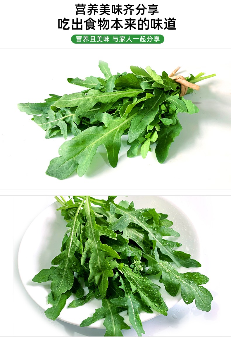芝麻菜 芝麻叶新鲜生菜芝麻菜火箭菜新鲜即食西餐食材蔬菜 500g【图片
