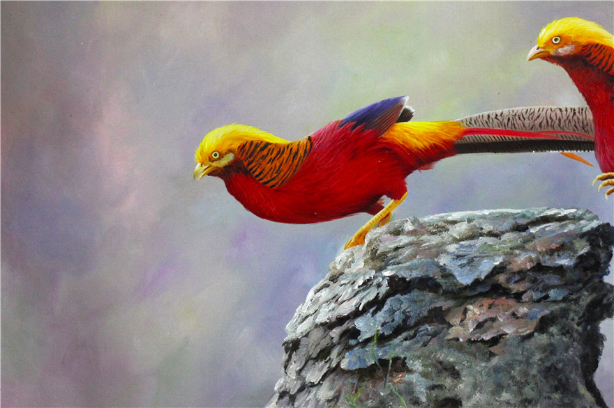 朝鲜一级画家 金莲美《锦鸡》动物油画 装饰 g1080