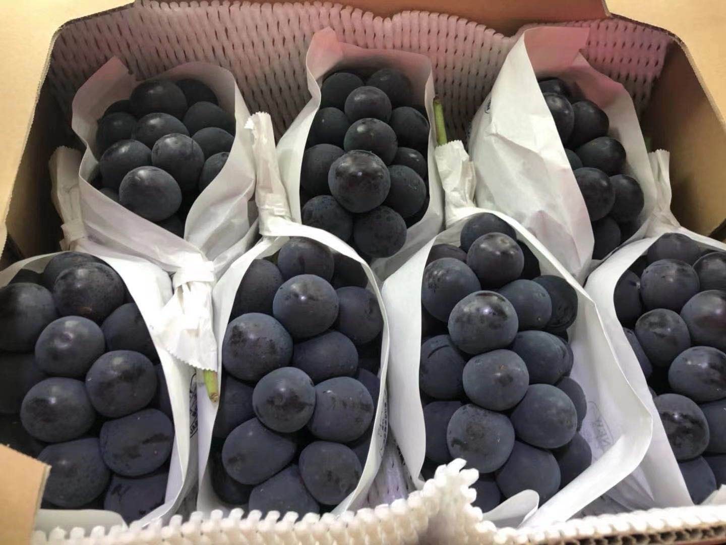 顺丰空运长野紫提紫葡萄一串700g云南特产葡萄新鲜当季水果精选大果