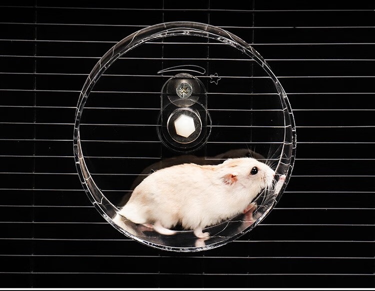 兰衍松鼠跑轮亚克力透明仓鼠跑轮跑步机转轮龙猫跑轮刺猬跑轮小宠带