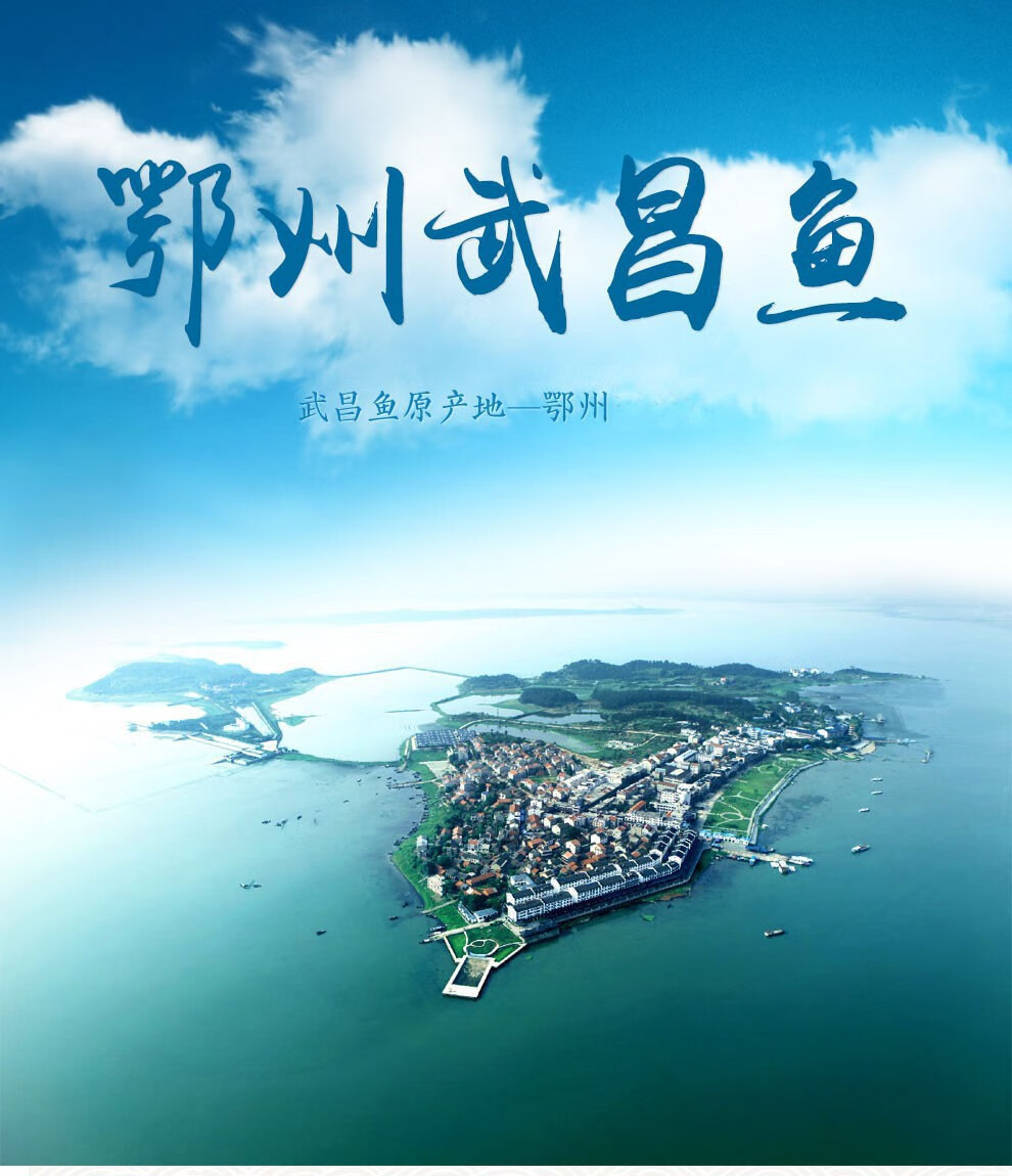 憨实湖北特产鄂州半风干微腌半成品樊口武昌鱼净重300g400g袋300g400g