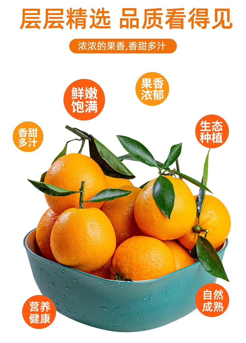 伦晚脐橙3/5/10斤装产地直发湖北宜昌脐橙新鲜应季橙子 净重伦晚5斤装