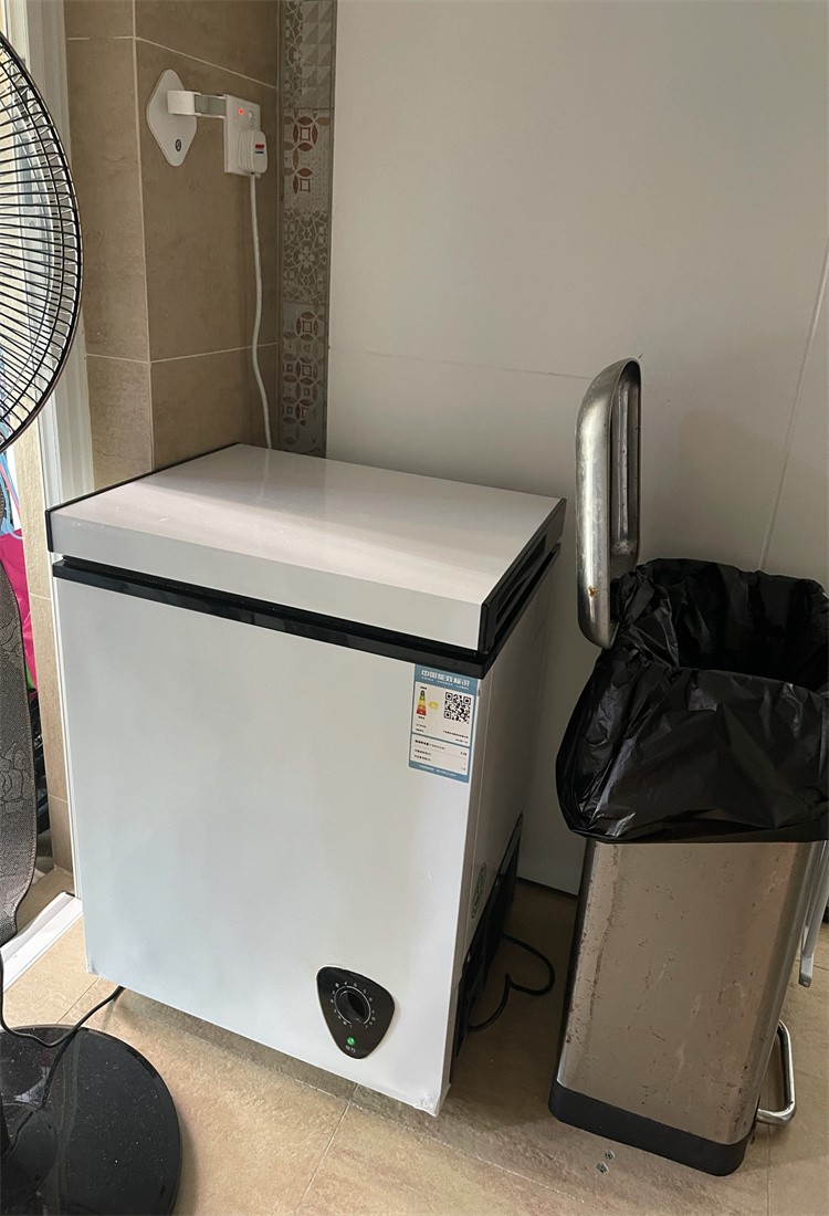 小冰柜家用小冰柜商用冷柜冷藏冷冻双温保鲜卧式小冰柜莱靓169节能