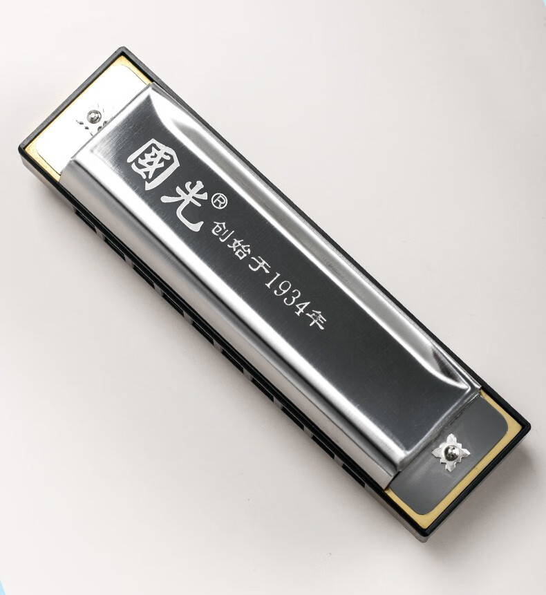 抖音同款上海国光口琴10孔布鲁斯蓝调口琴复音c调初学自学成人演奏级