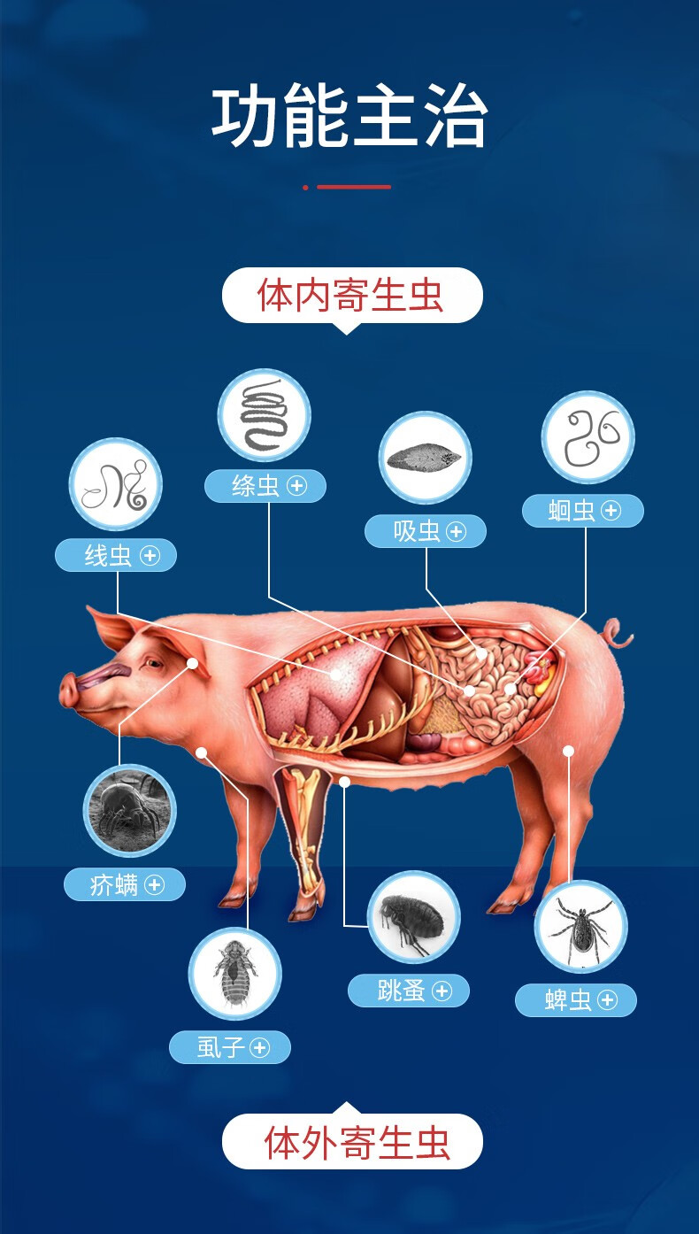 中农康畜 兽药阿苯达唑伊维菌素粉兽用打虫药鸡鸭鹅猪牛羊驱虫药打虫
