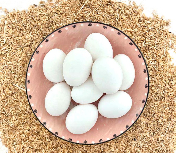 惠寻河南濮阳白壳鸡蛋鲜鸡蛋新鲜现发10枚装约400gm