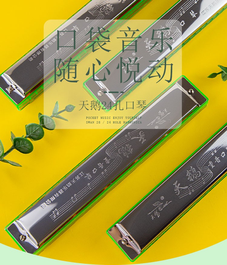 天鹅swan24孔c调口琴彩色初学复音重音口琴演奏级口琴可选口吹乐器24