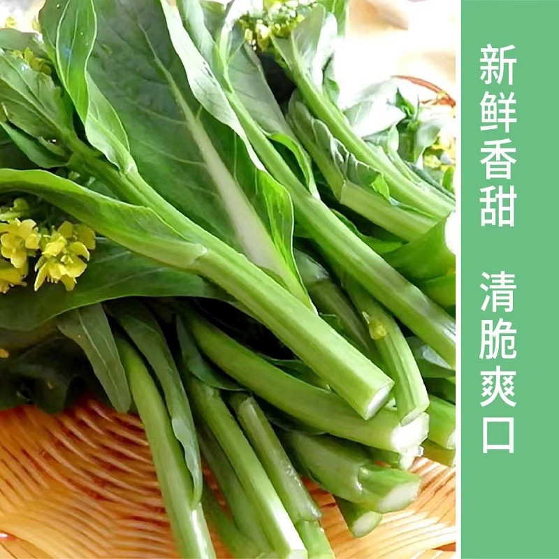 菜心 四季甜菜心油菜 白灼菜心新鲜蔬菜广东油青产自云南菜心 两斤装