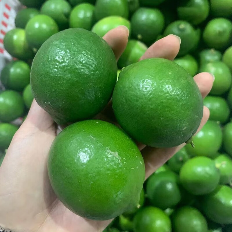 塔西提无籽青皮柠檬薄皮香水柠檬 无核柠檬奶茶店餐饮专用 无籽青柠檬