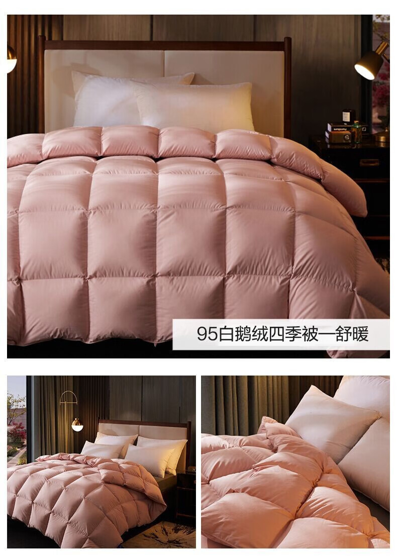 a49cff4197c984ad.jpg