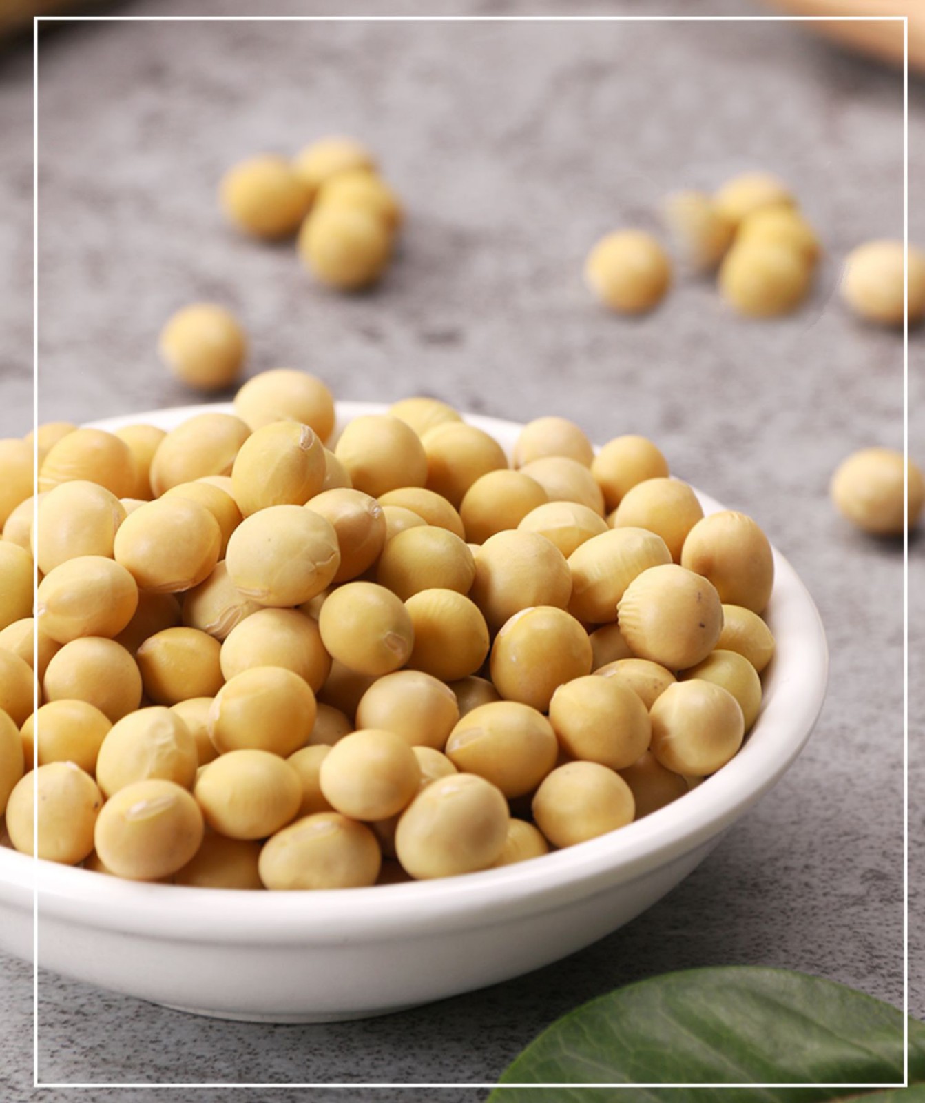 汾都香当季黄豆500g独立包装五谷杂粮粗粮东北农家黄小豆500g独立包装