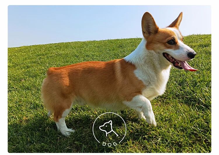 小米redmi红米note105g手机星云灰全网通4128g90天碎屏险套装