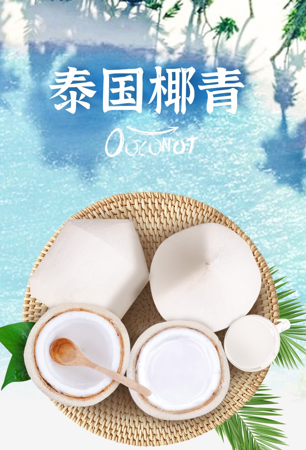 壹农壹果泰国进口椰青原箱装大果大椰子奶香椰新鲜水果精选2个装单果