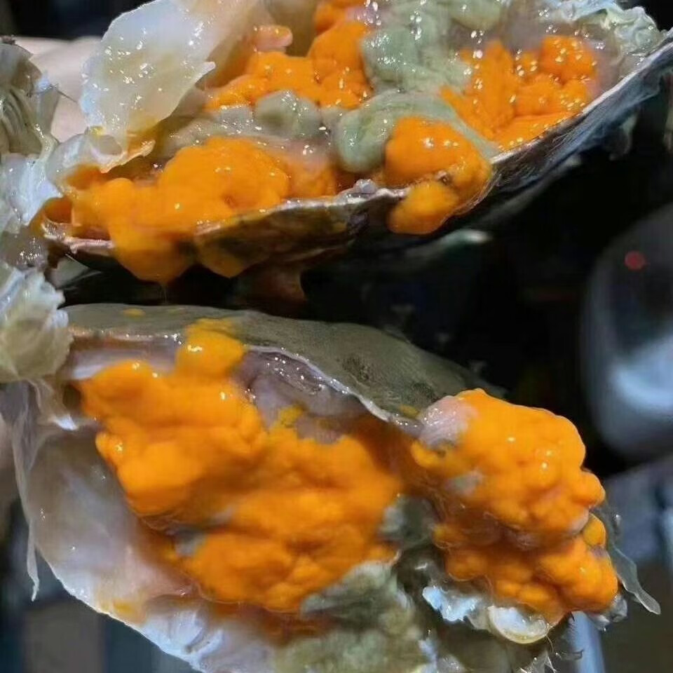 鲜活福建东山岛红膏鲟菜鲟青蟹红膏青蟹海蟹满膏螃蟹超朴生鲜 三只3斤