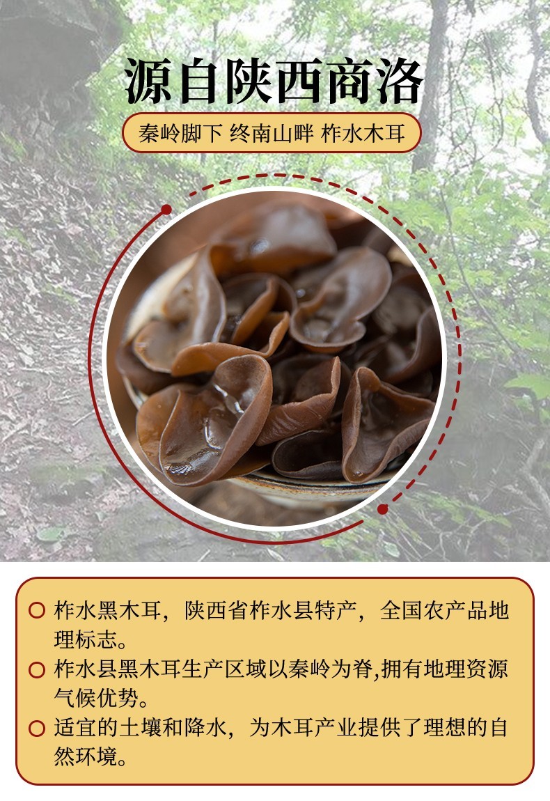 陕西特产柞水木耳 一级无根肉厚黑木耳山珍干货 柞水特产 250g【图片