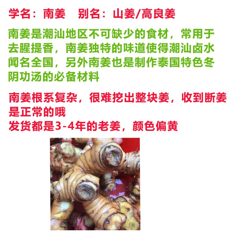 广东潮汕南姜野山姜高良姜新鲜蔬菜5斤装